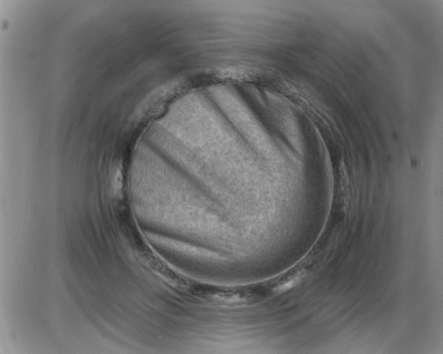 X0000085290502200703231836