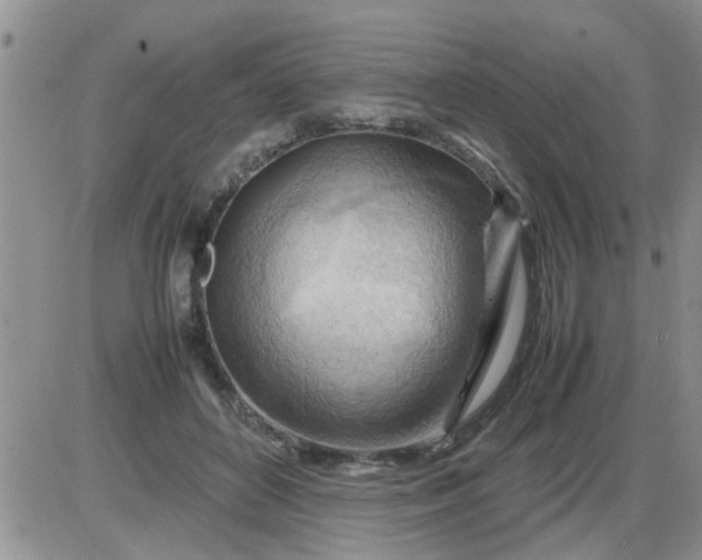 X0000085290504200703231836