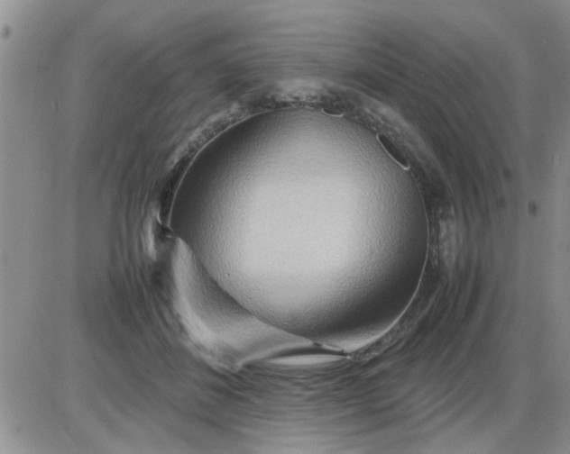 X0000085290508200703231836
