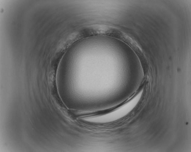 X0000085290509200703231836