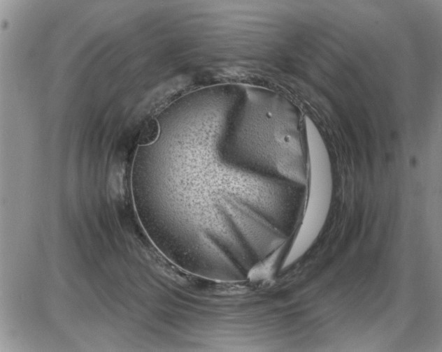 X0000085290514200703231836