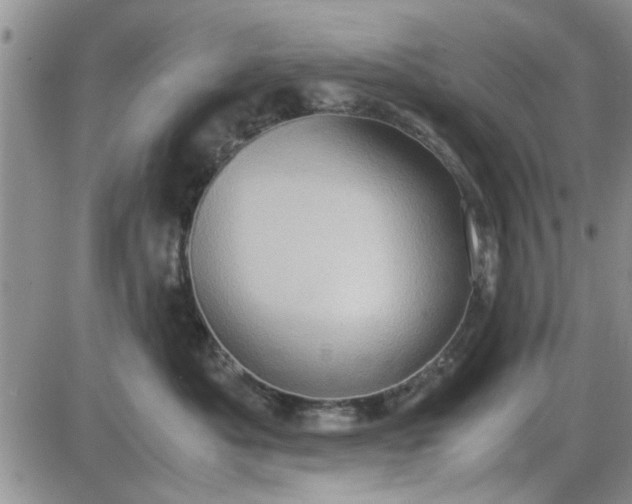 X0000085290525200703231836
