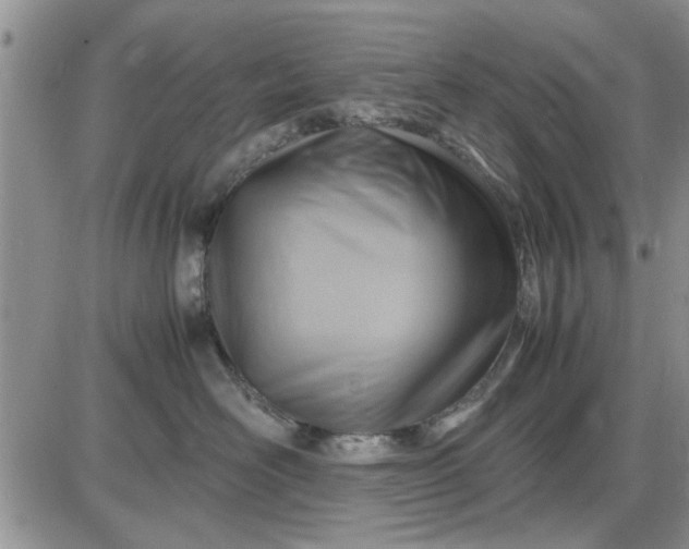 X0000085290526200703231836