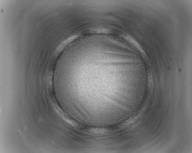 X0000085290537200703231835