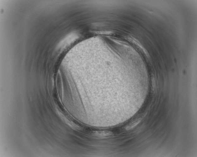 X0000085290541200703231835