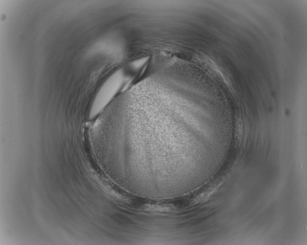 X0000085290545200703231835