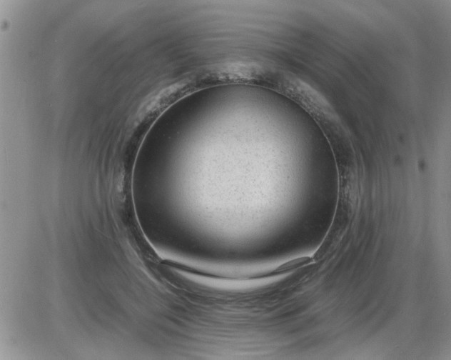 X0000085290548200703231835
