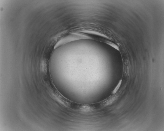 X0000085290562200703231835