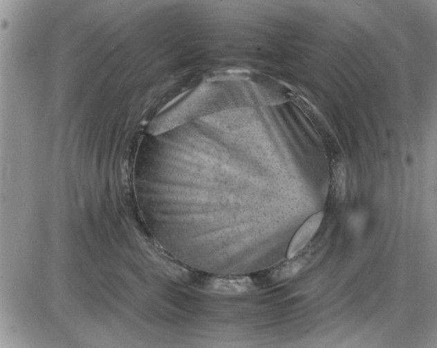 X0000085290571200703231836