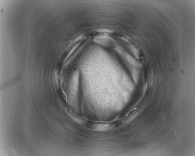 X0000085290575200703231836