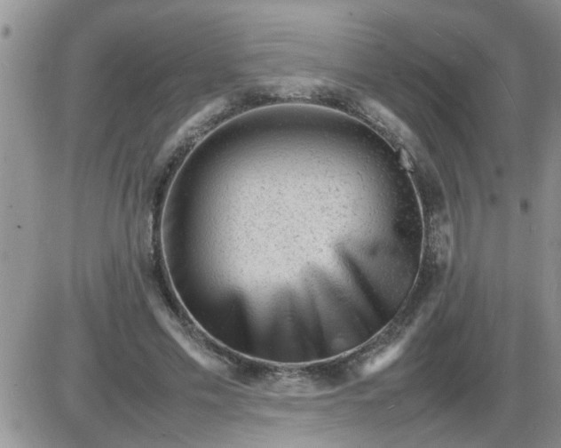 X0000085290589200703231835