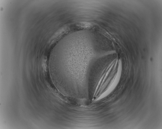 X0000085290612200703231834