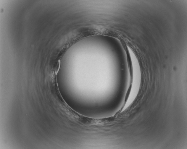 X0000085290613200703231834