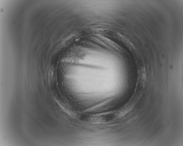 X0000085290615200703231834