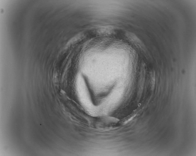X0000085290619200703231834