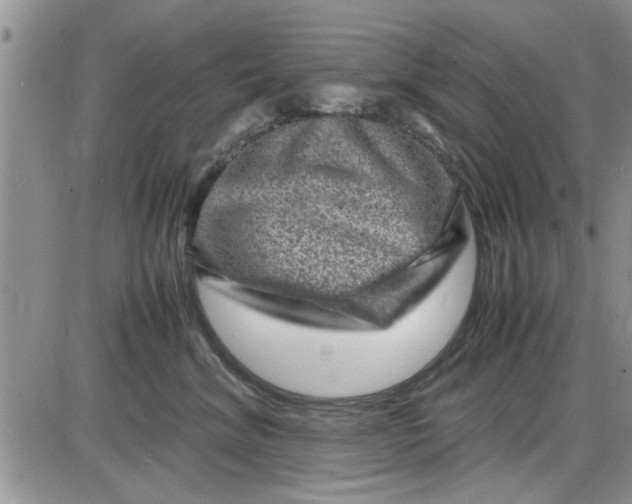 X0000085290620200703231834