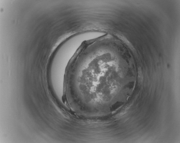 X0000085290626200703231833