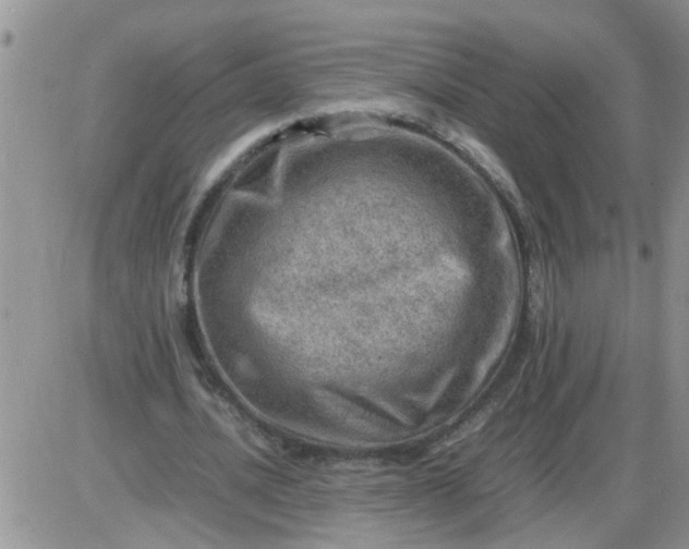 X0000085290628200703231833