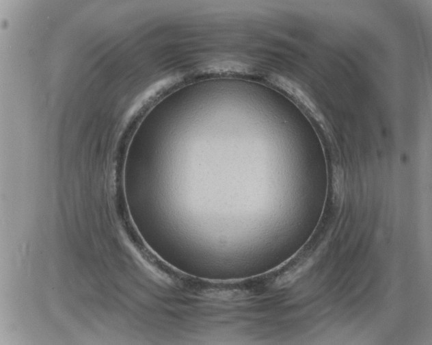 X0000085290629200703231833