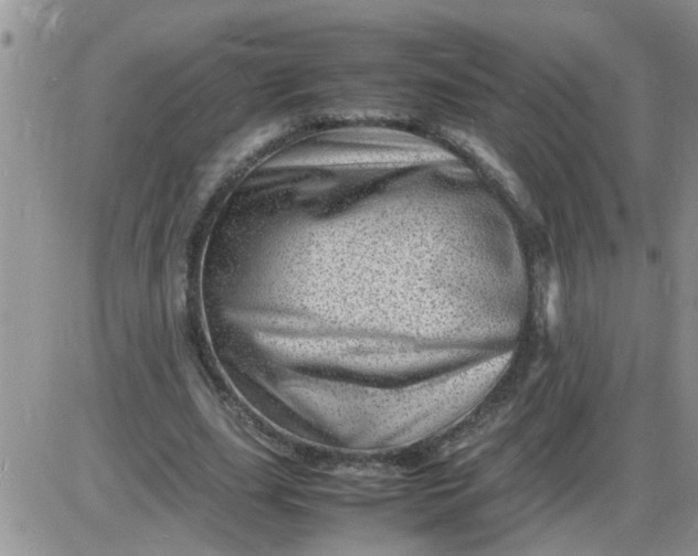X0000085290631200703231833