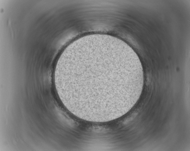 X0000085290632200703231833