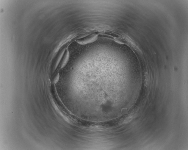 X0000085290634200703231833