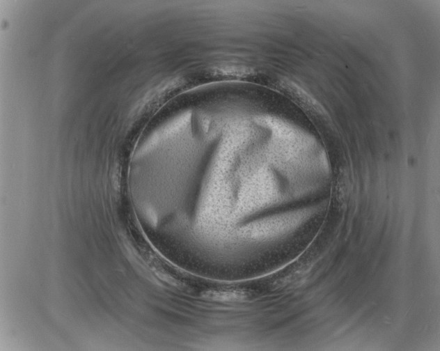 X0000085290639200703231834