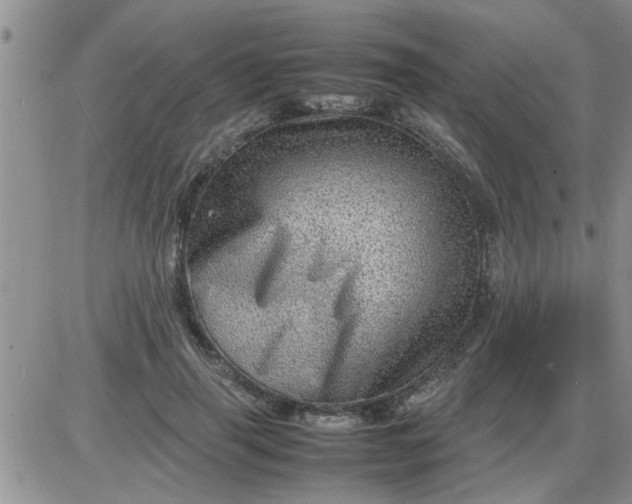 X0000085290645200703231834