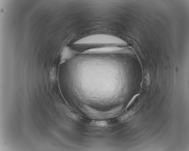X0000085290665200703231834