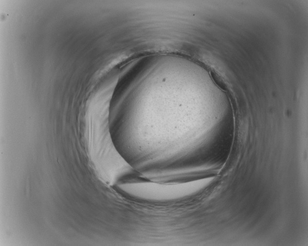 X0000085290673200703231833