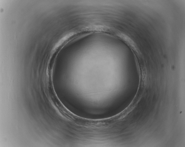 X0000085290674200703231833