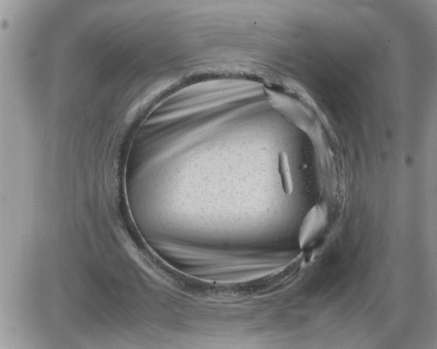 X0000085290677200703231833