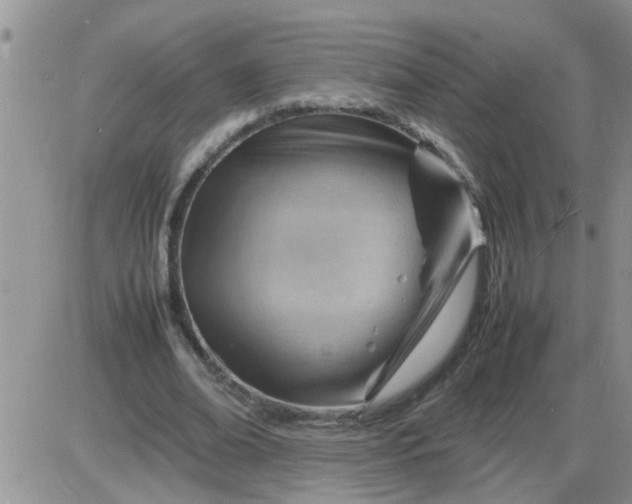 X0000085290678200703231833