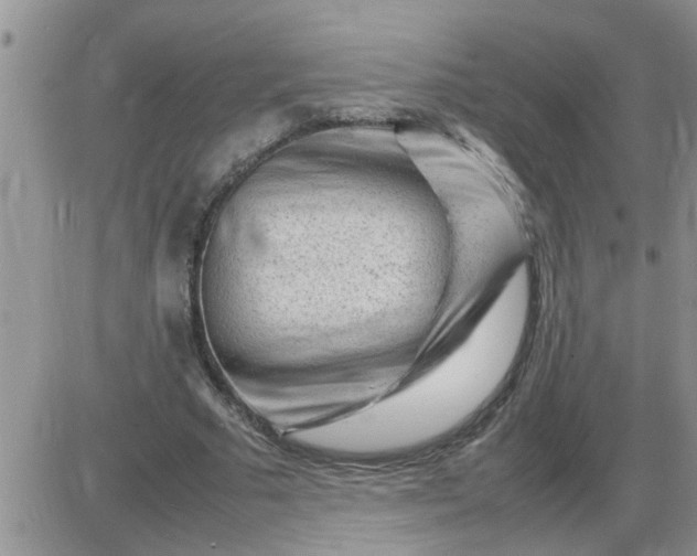 X0000085290681200703231833