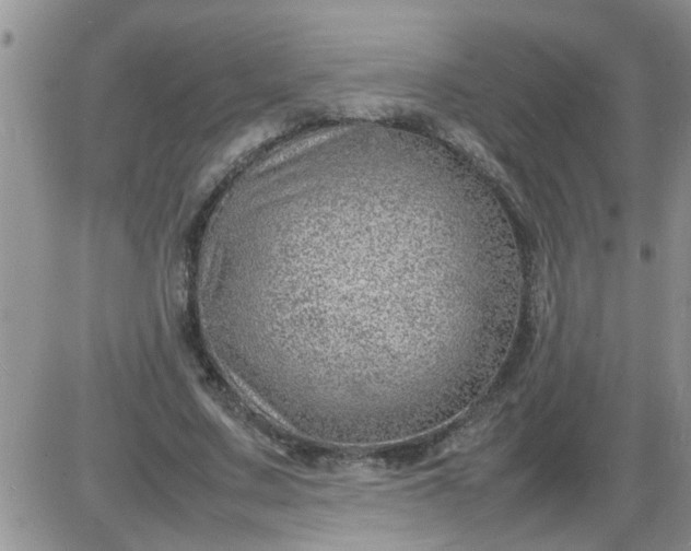 X0000085290683200703231833