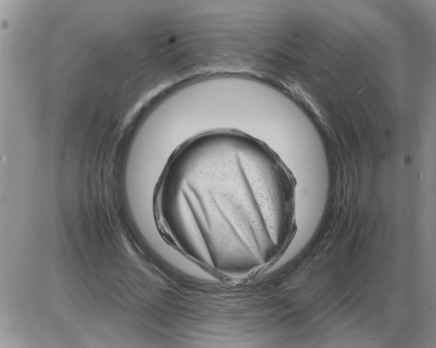 X0000085290684200703231833