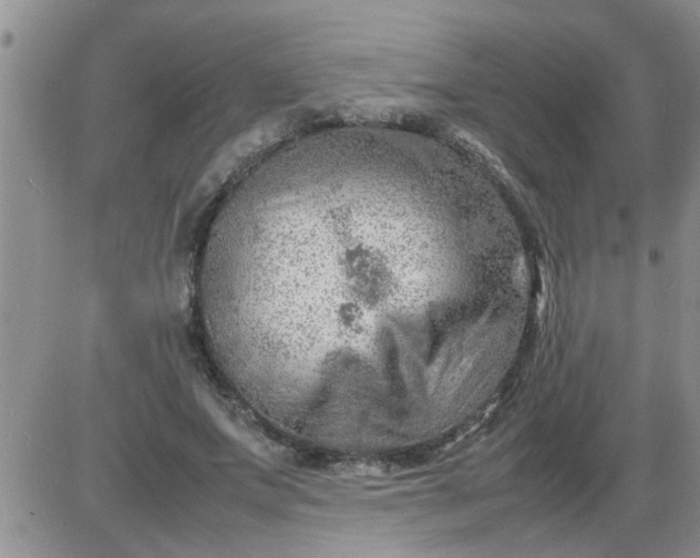 X0000085290687200703231833