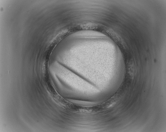 X0000085290690200703231833