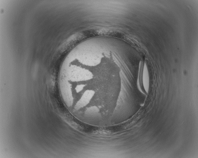 X0000085290691200703231833