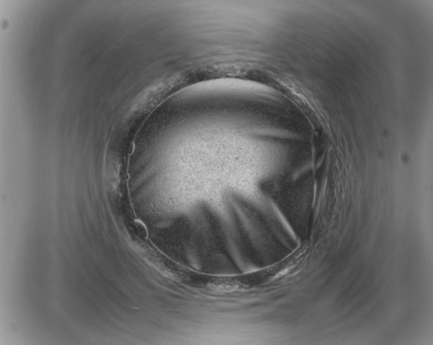 X0000085290693200703231833