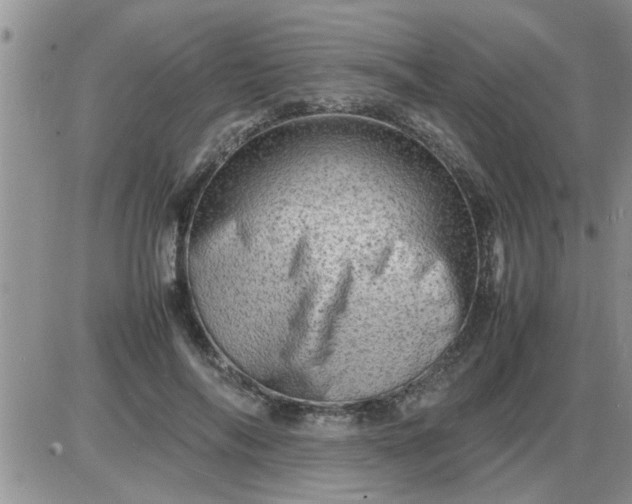 X0000085290694200703231833