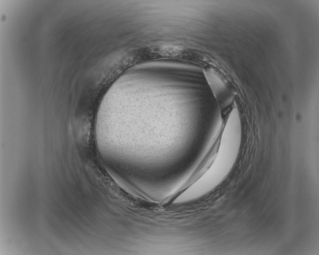 X0000085290697200703231833