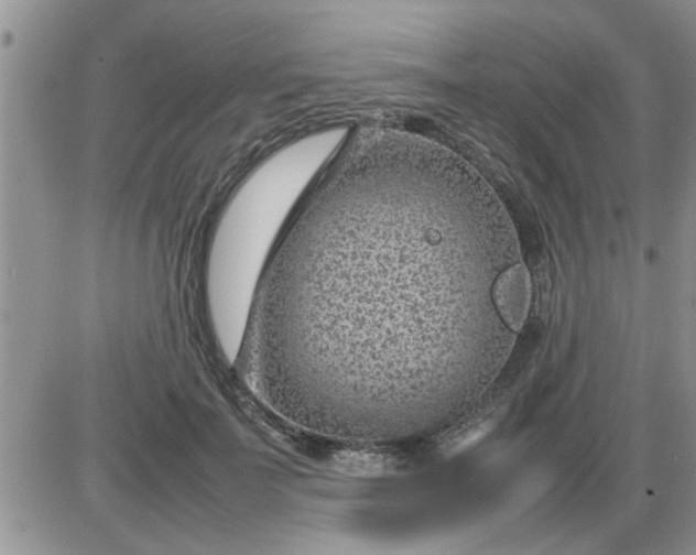 X0000085290699200703231833