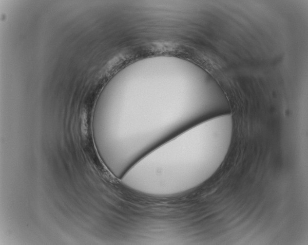 X0000085290700200703231833