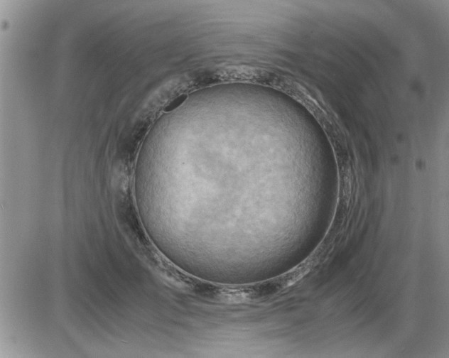 X0000085290701200703231833