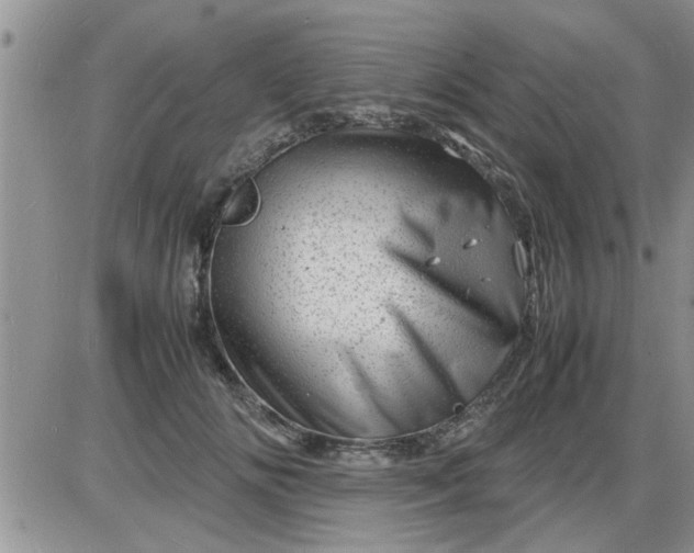 X0000085290702200703231833