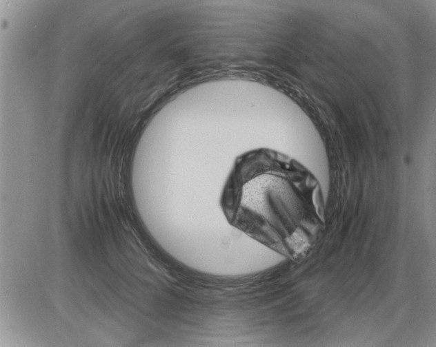 X0000085290704200703231833