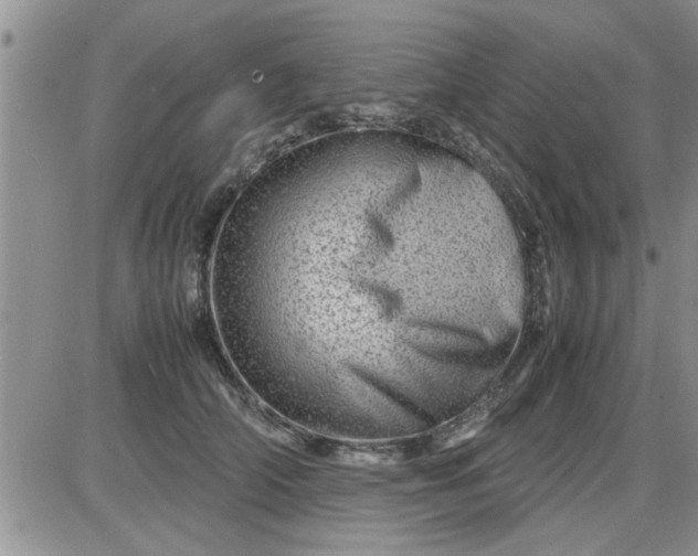 X0000085290706200703231833