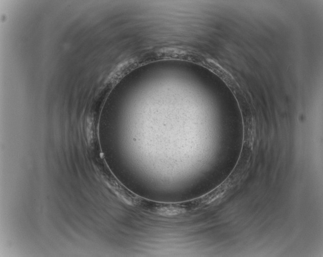 X0000085290708200703231833