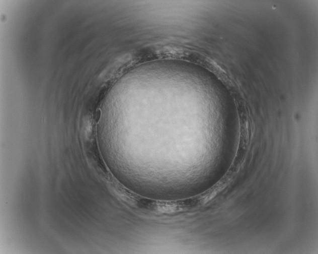 X0000085290709200703231833